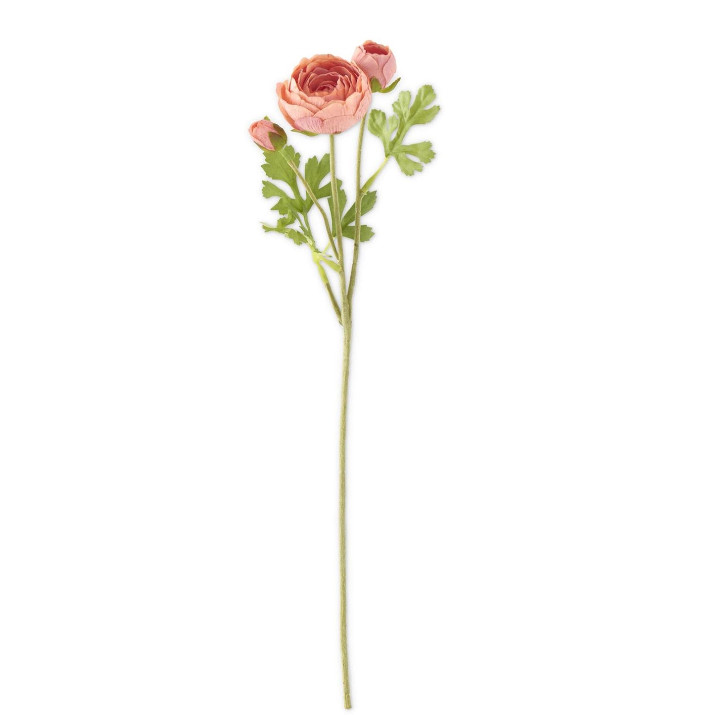 21" Real Touch Ranunculus Stem - Coral Pink
