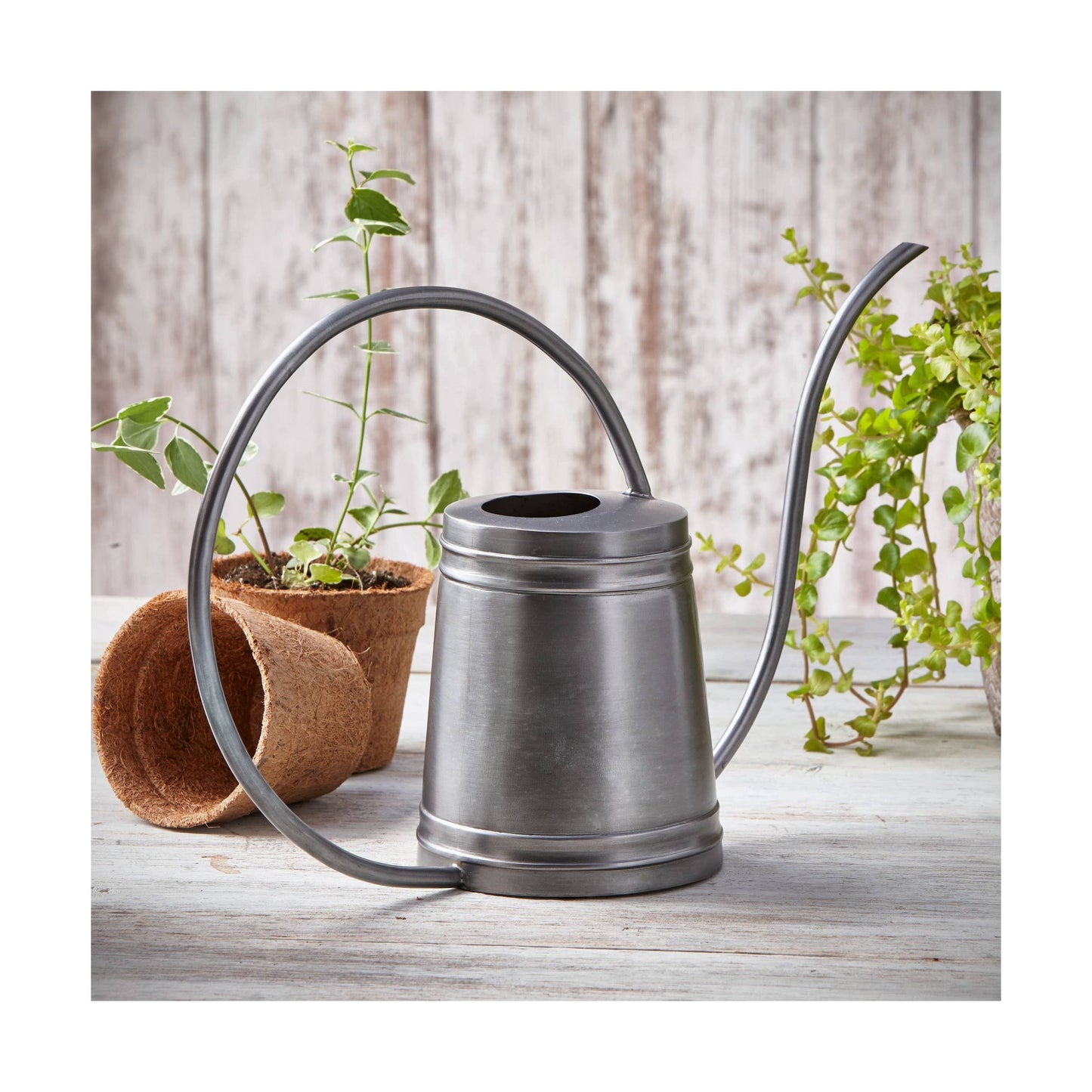 Watering Can