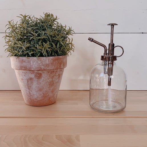 Glass Plant Mister