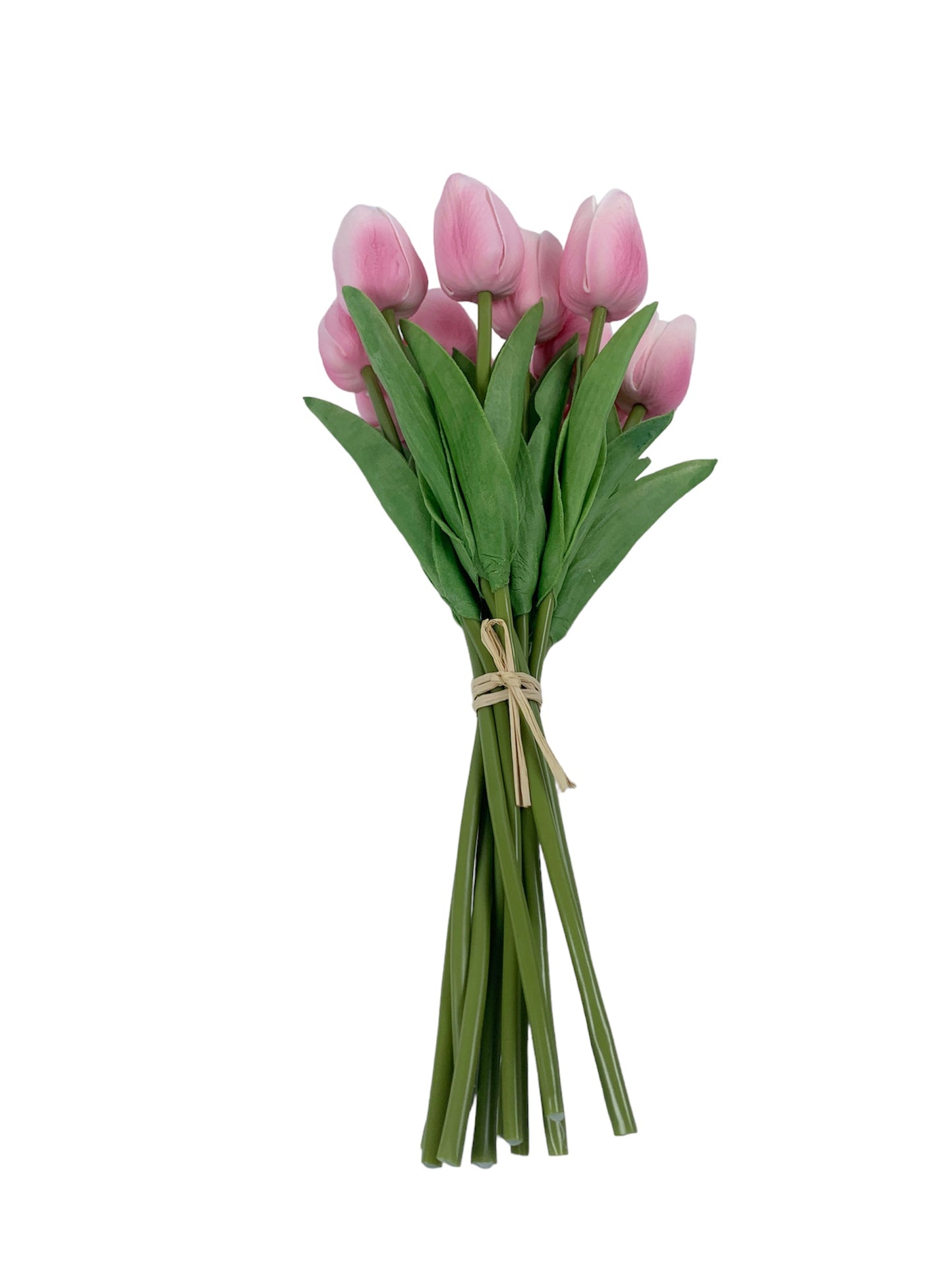 13.5" Pink Tulip Bundle
