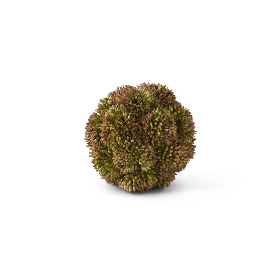 Sedum Ball - Green