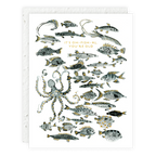 Oh-fish-ally Old Birthday Card
