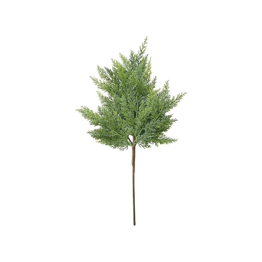 24" Cedar Spray