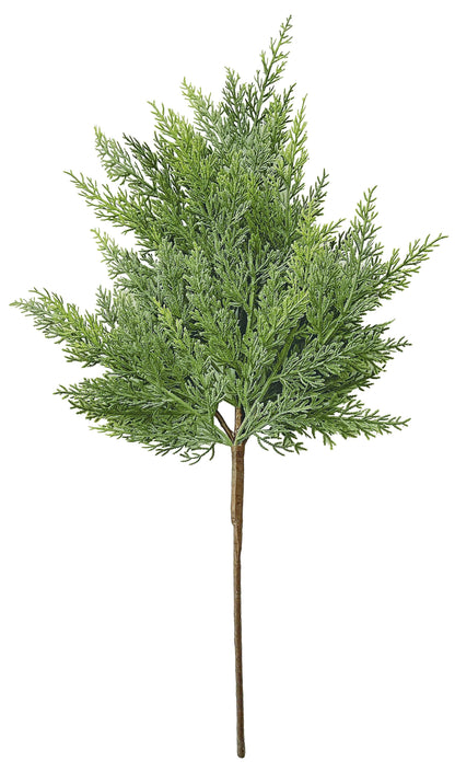 24" Cedar Spray
