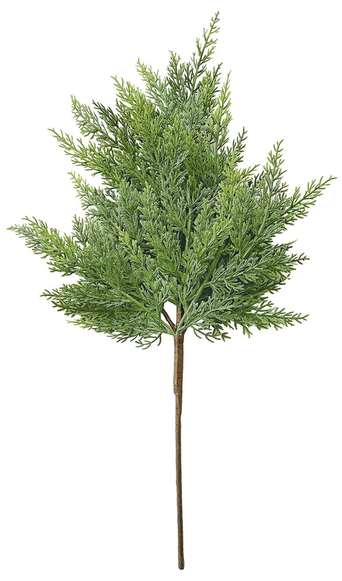 24" Cedar Spray