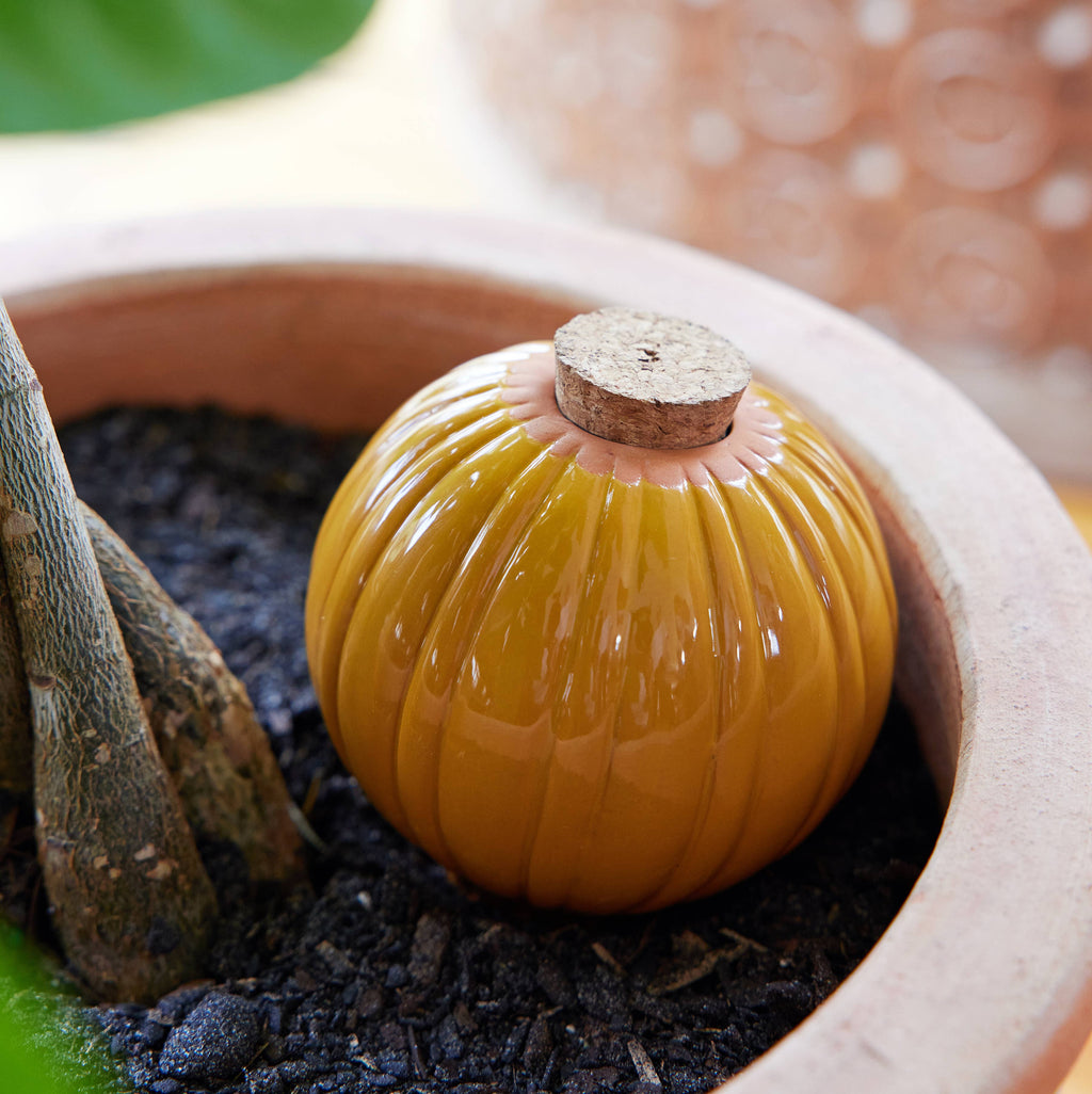 Terracotta Watering Bulb