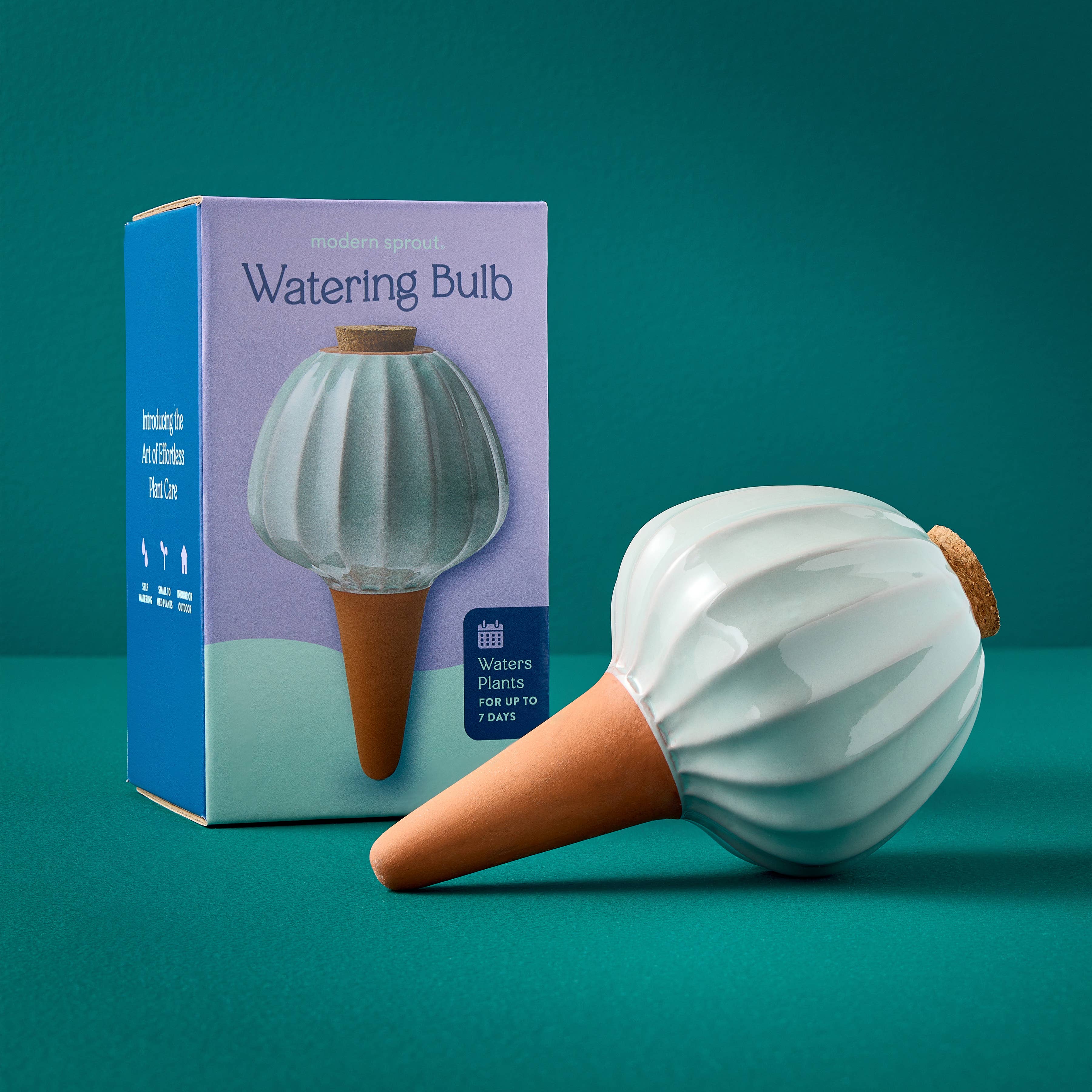 Terracotta Watering Bulb