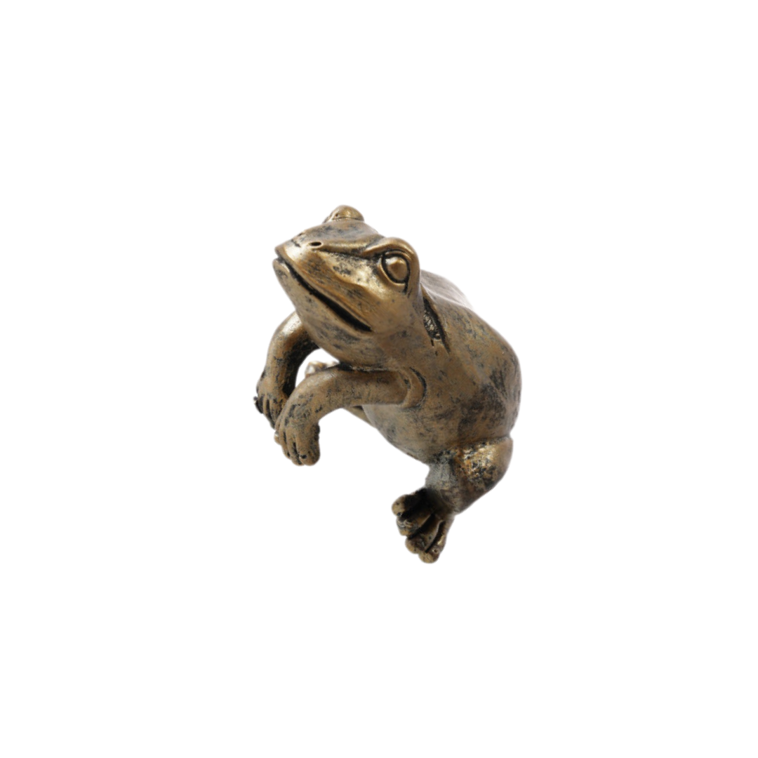 Frog Pot Hanger