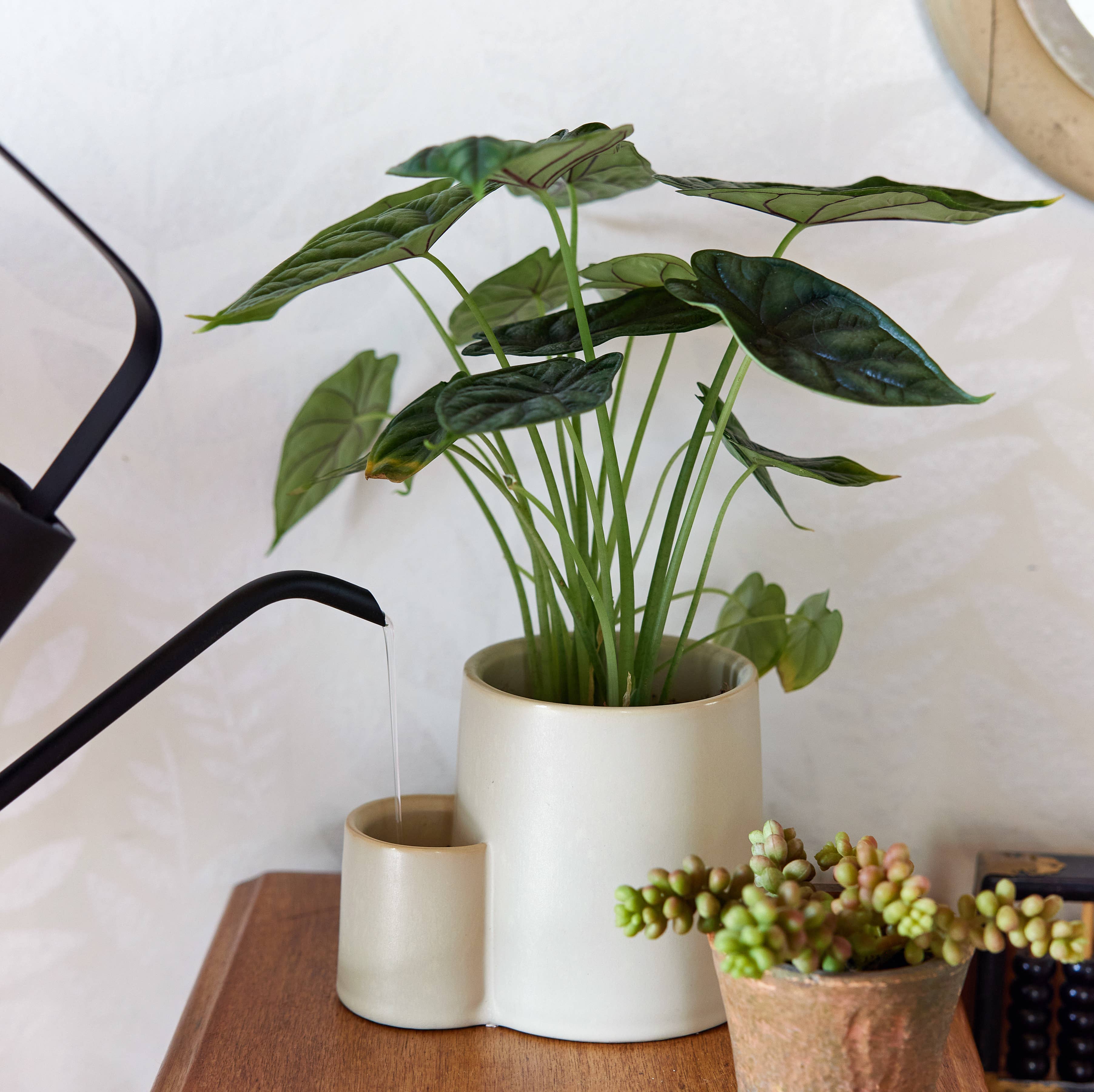 Ember Earth Candle + Planter