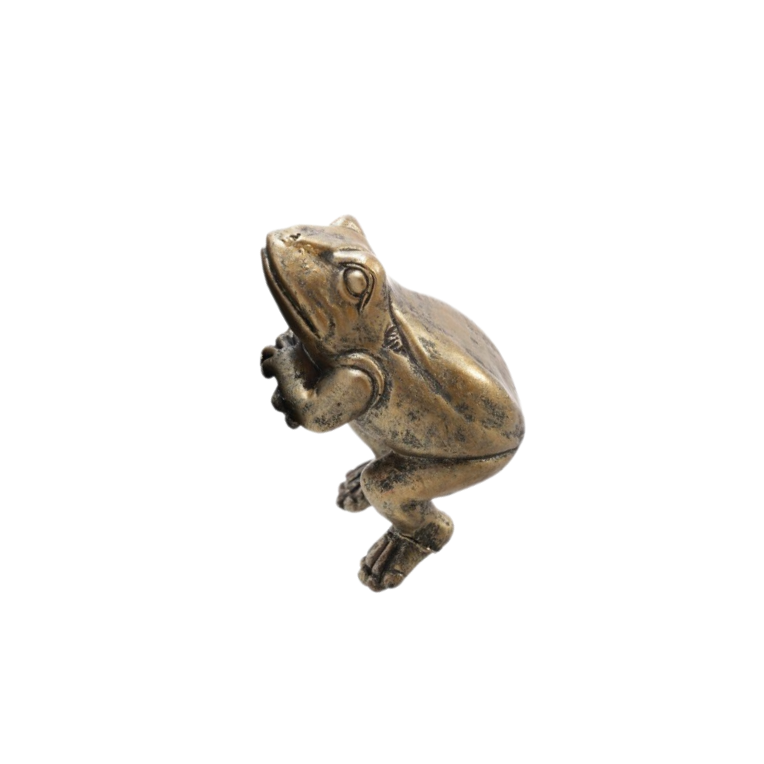 Frog Pot Hanger