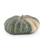 Resin Cinderella Pumpkin
