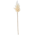 35" Flocked Pampas Stem - Cream