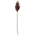 35" Flocked Pampas Stem - Brown