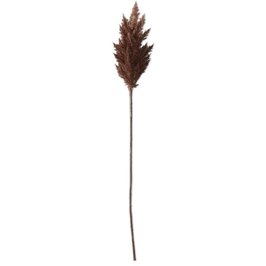 35" Flocked Pampas Stem - Brown