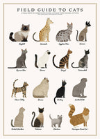 Cats Puzzle – 500 Pc Tube with Vintage Illustrations