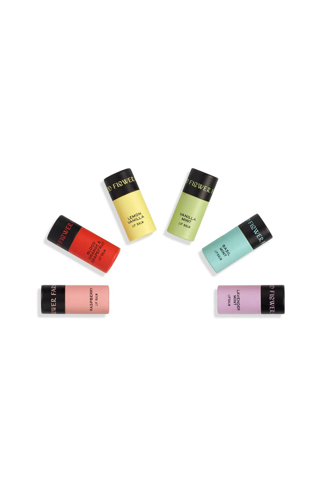 Basil Mint Organic Lip Balm