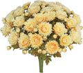 Indoor/Outdoor Mum Bush (UV Proof)