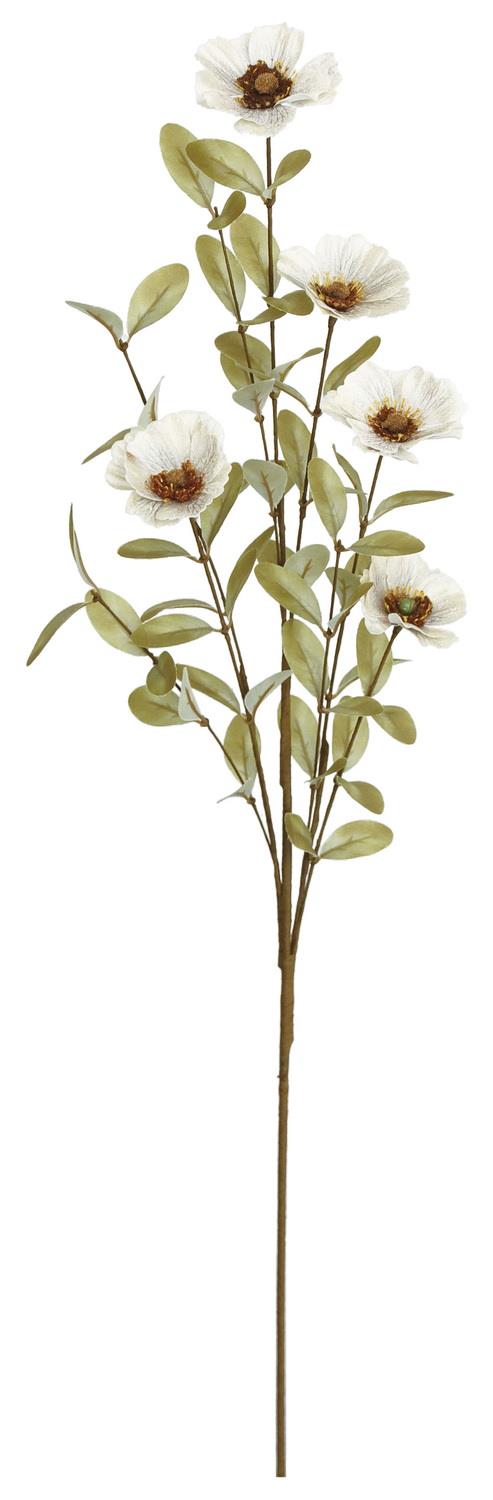 35"  Cosmos Spray