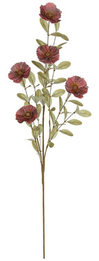 35"  Cosmos Spray