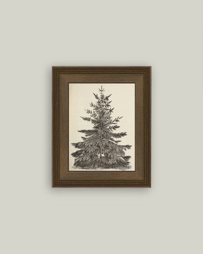 Vintage Pine Tree Framed Antique Art