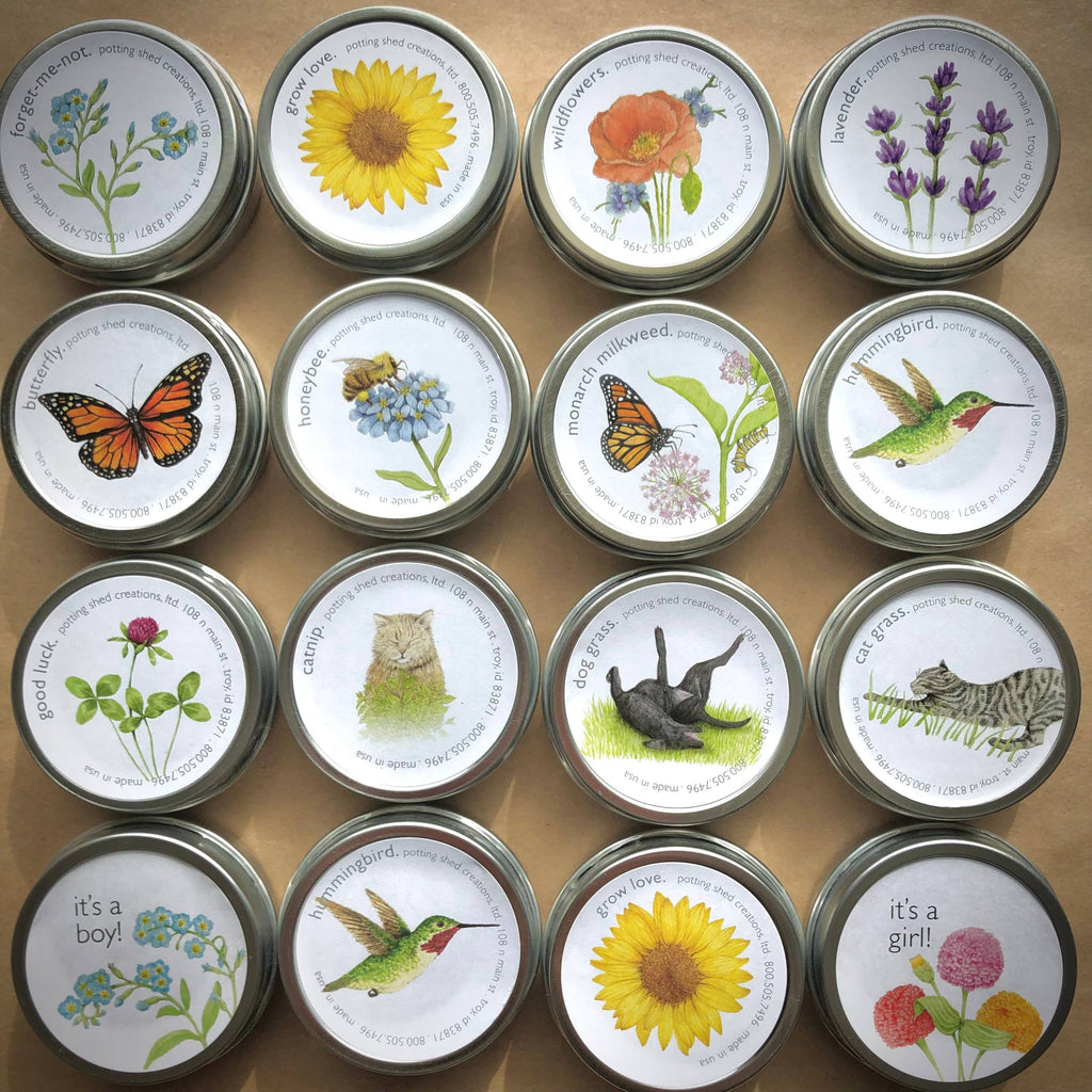 Butterfly Garden Sprinkles