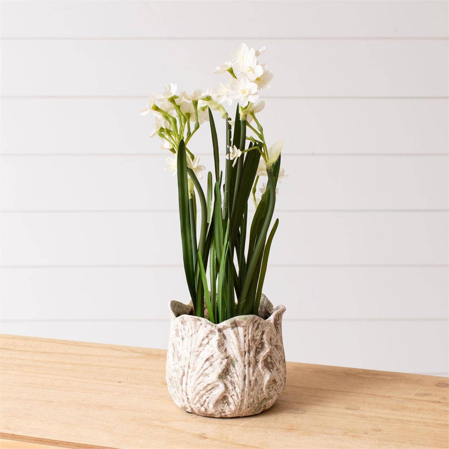 Distressed White Leaf Planter
