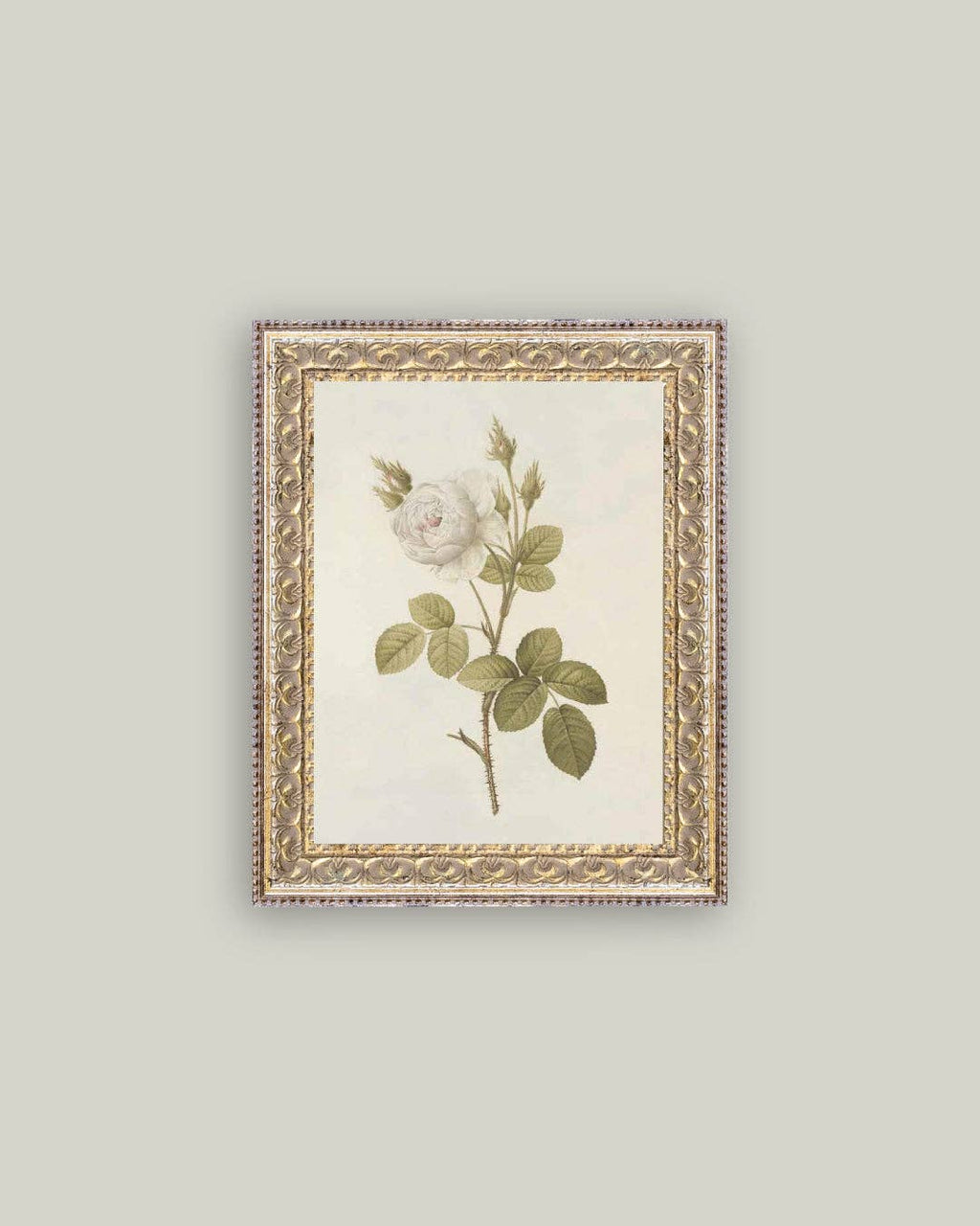 Misty Rose Framed Antique Art