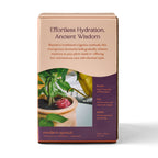 Terracotta Watering Bulb