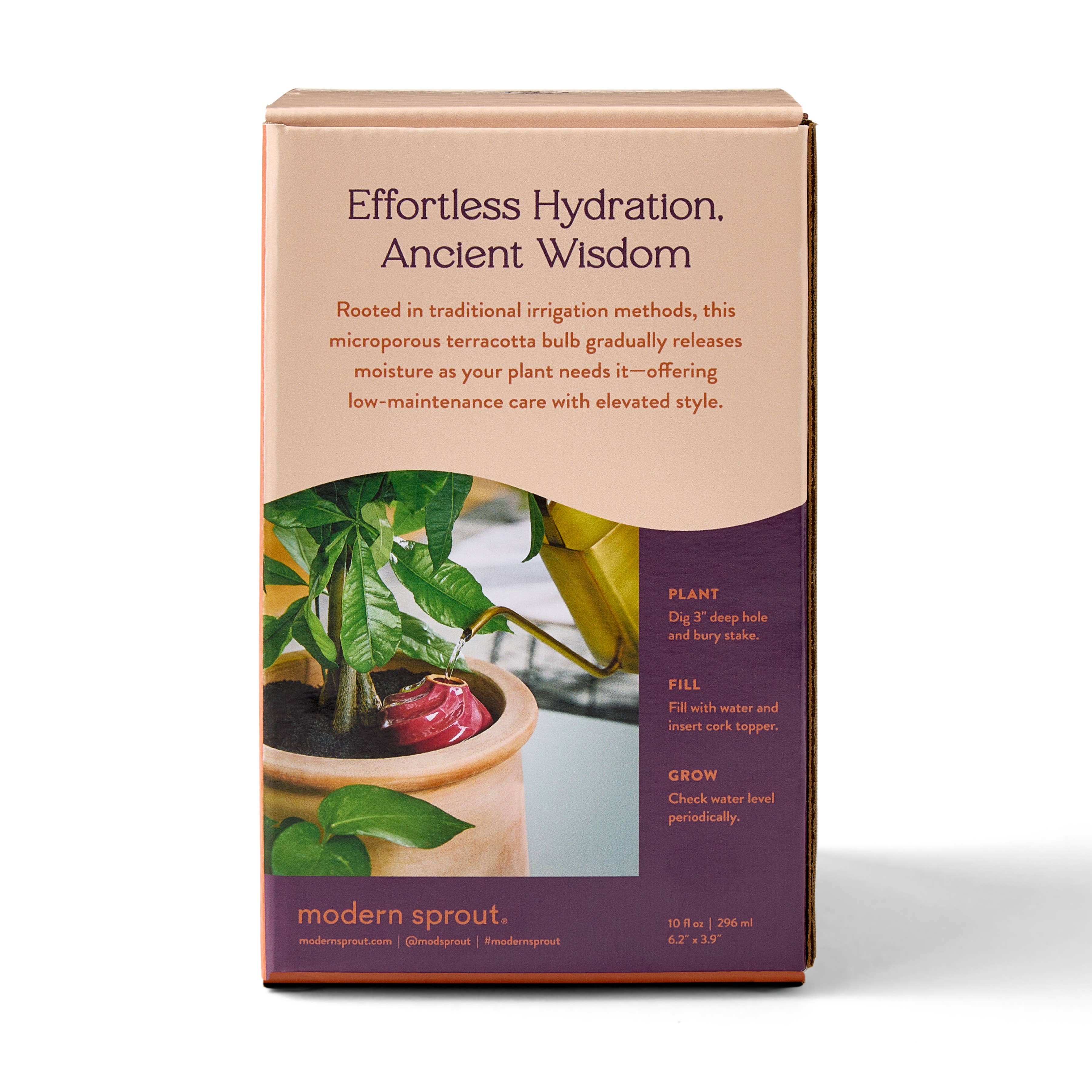 Terracotta Watering Bulb