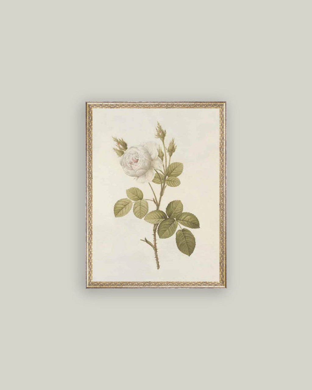 Misty Rose Framed Antique Art