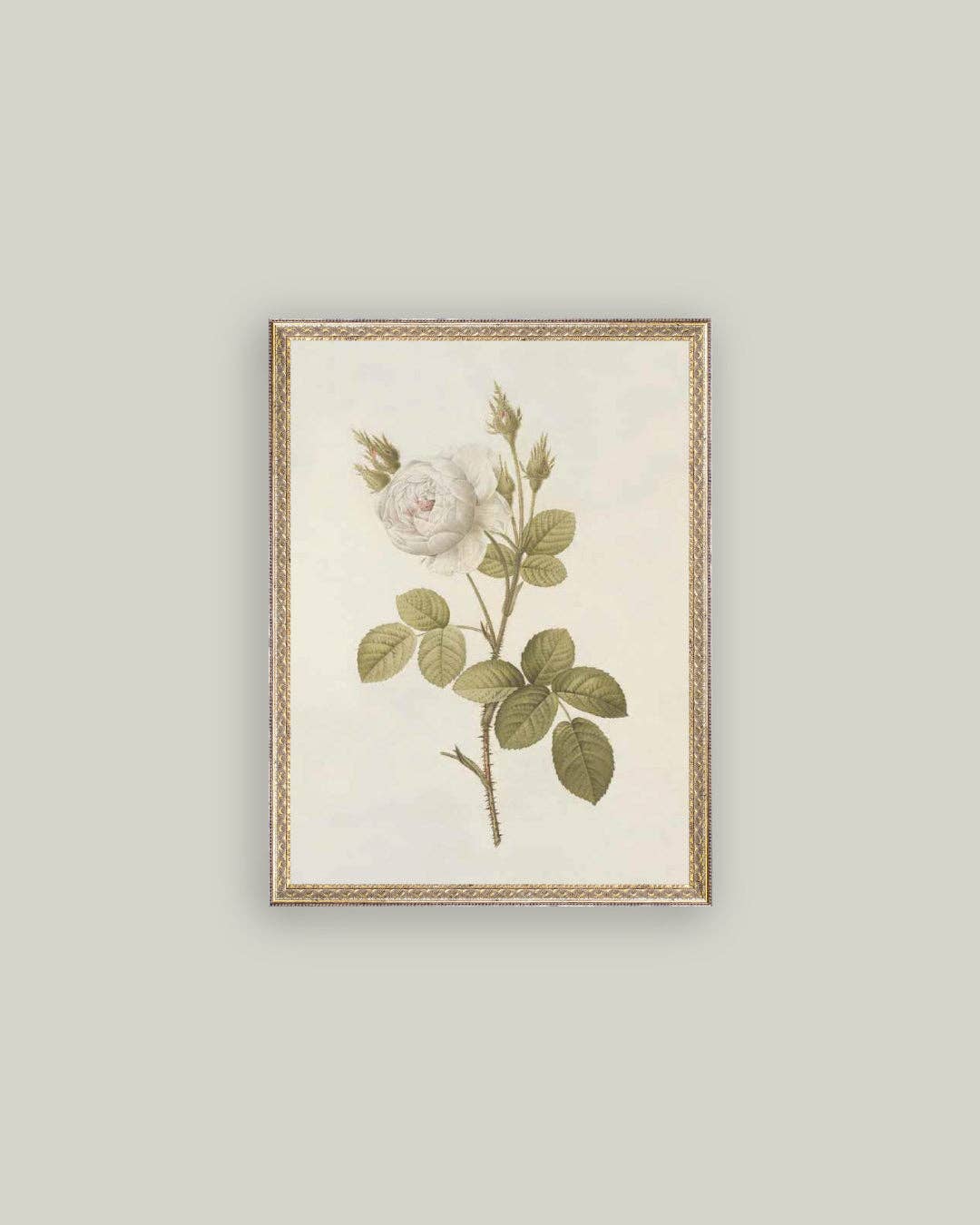 Misty Rose Framed Antique Art
