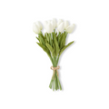 13.5" White Tulip Bundle