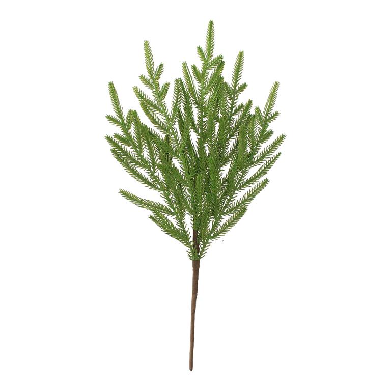 18" Norfolk Pine Pick