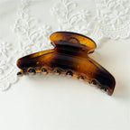 Glossy Fan Hair Clip
