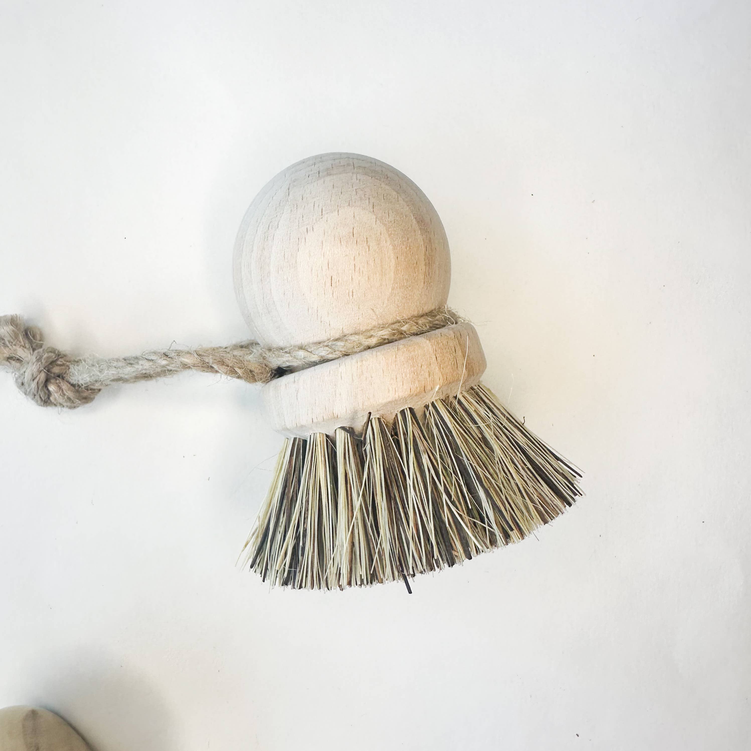 European Style Natural Kitchen Brushes