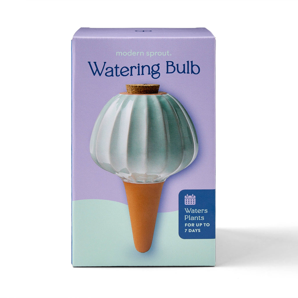 Terracotta Watering Bulb