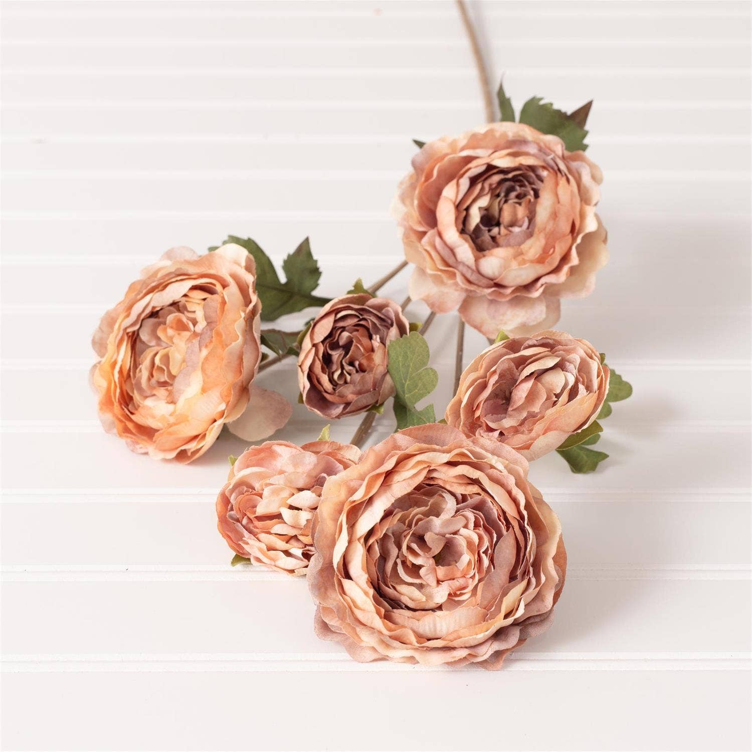 Blush Ranunculus Stem