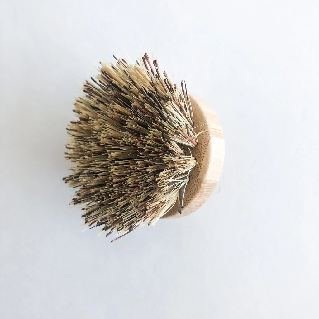 Replaceable Head for Natural Dish Brush