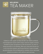 Personal Glass Tea Maker