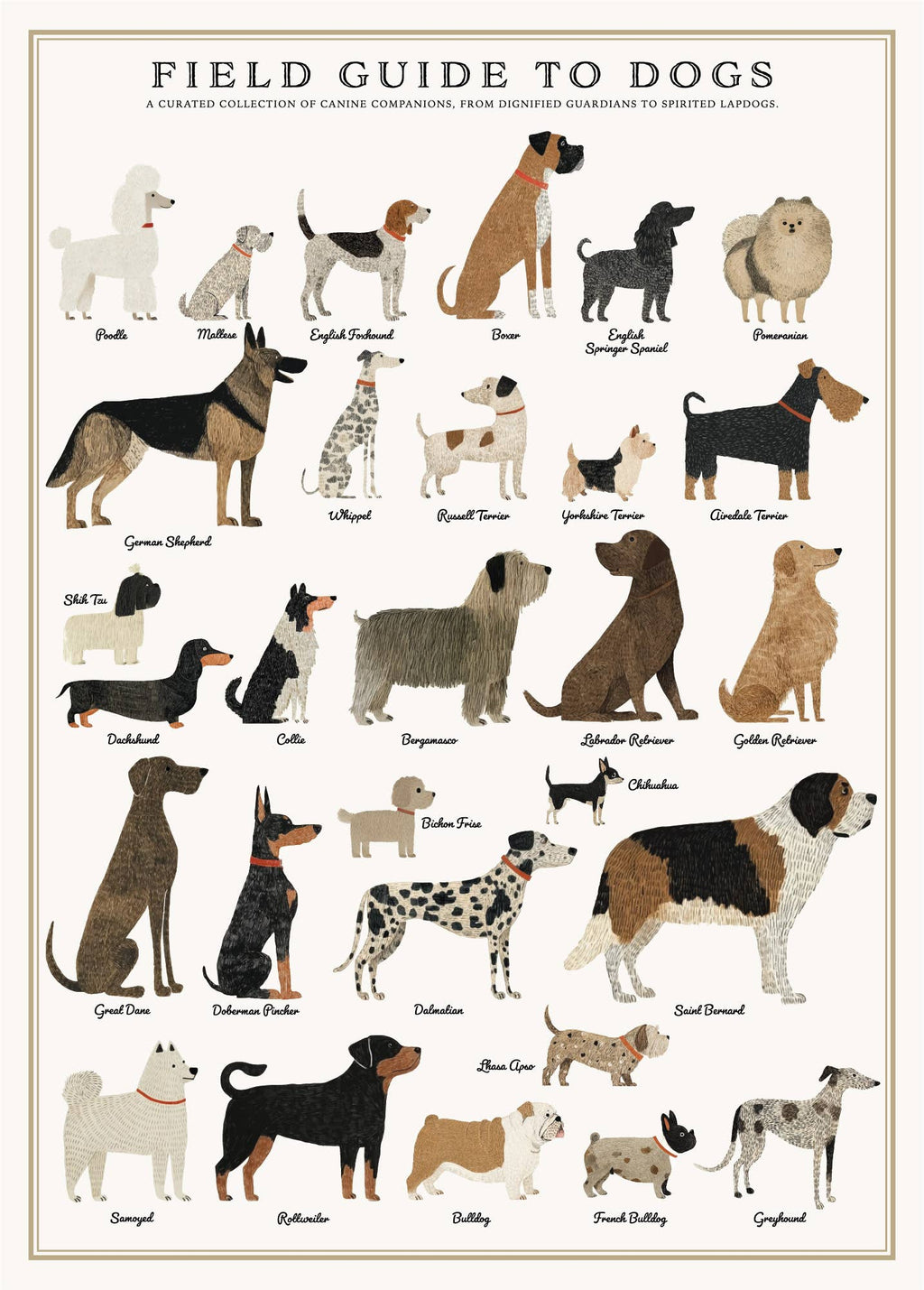 Dogs Puzzle – 500 Pc Tube with Vintage Illustrations