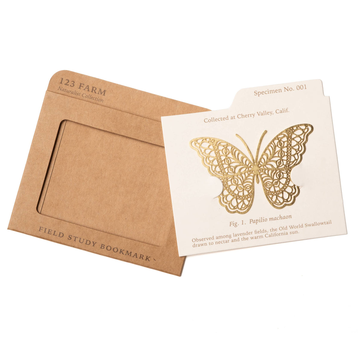 Field Study Bookmark — Old World Swallowtail Butterfly