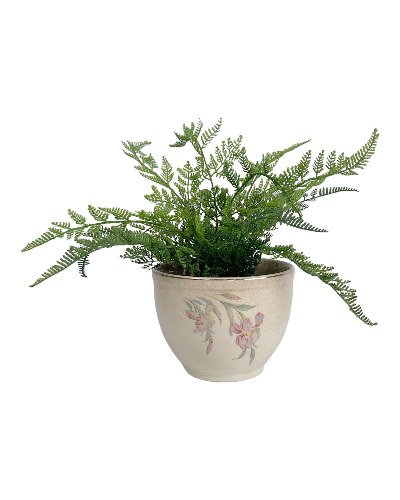 Mossy Faux Fern