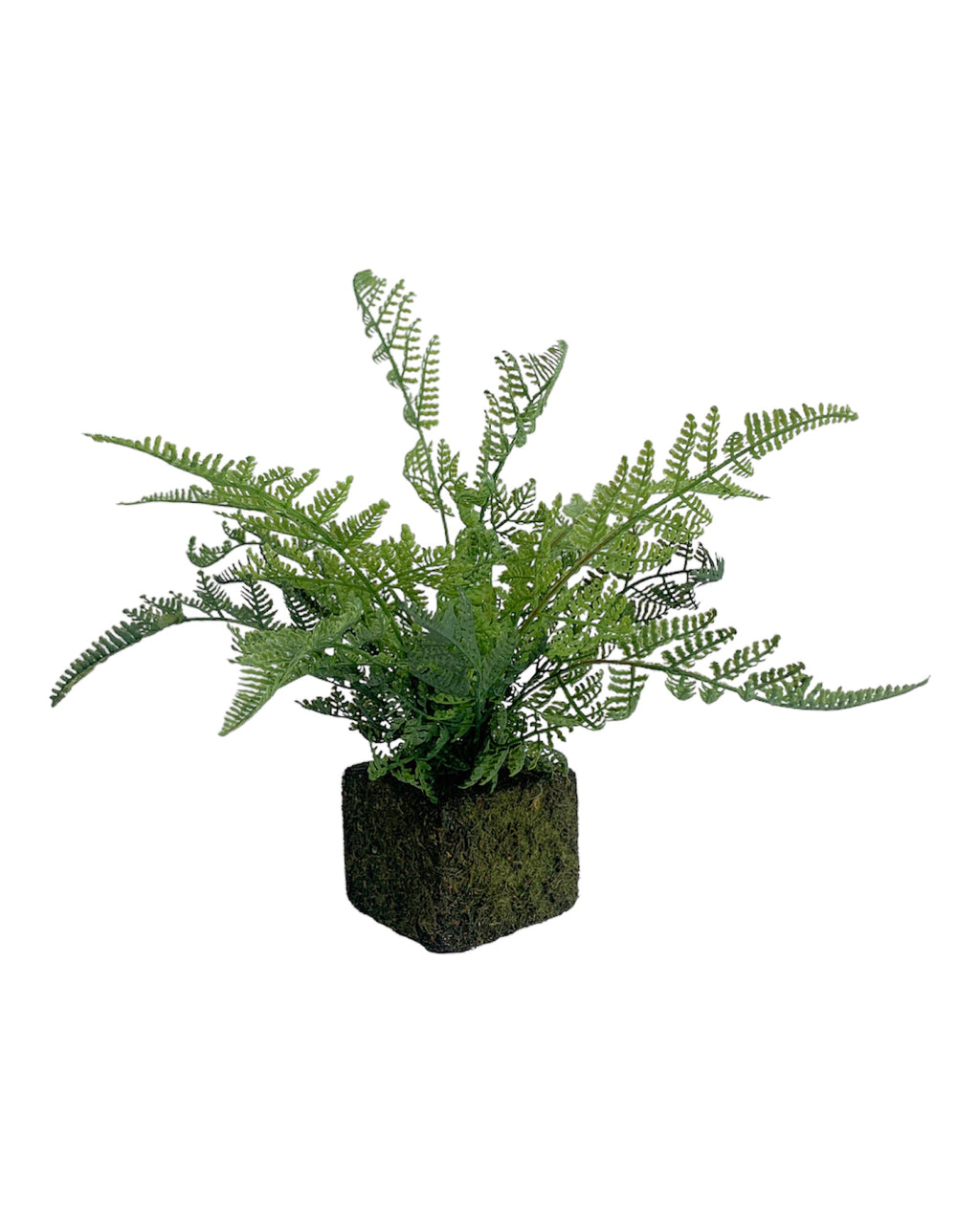 Mossy Faux Fern