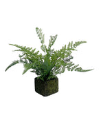 Mossy Faux Fern