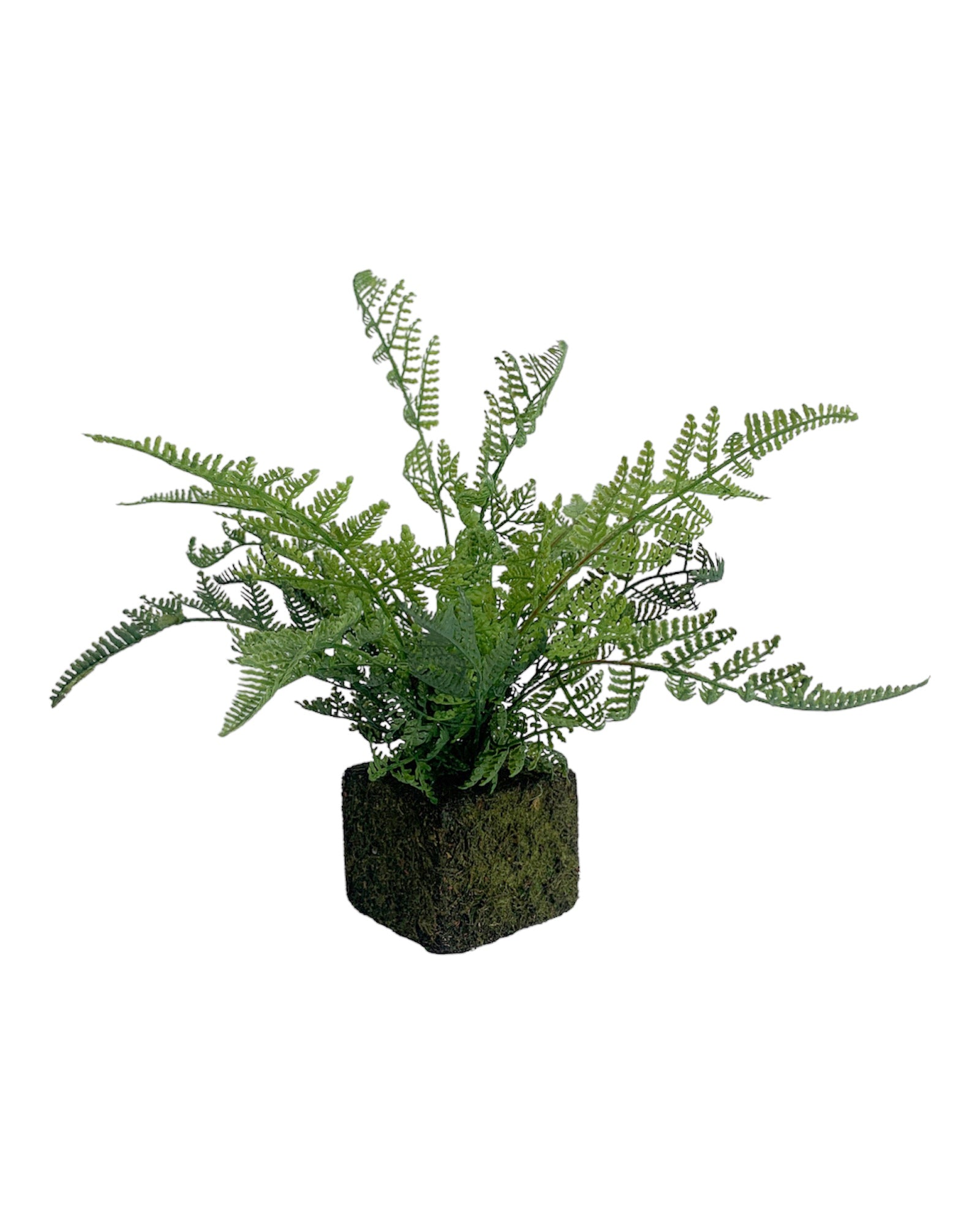 Mossy Faux Fern